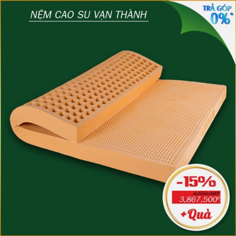 Nệm Vạn Thành 1m8x2mx5cm | Thegioinem.com