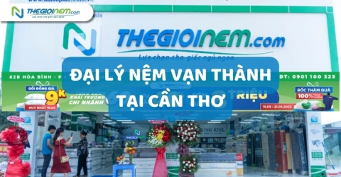 Nệm Vạn Thành Tại Cần Thơ | Thegioinem.com