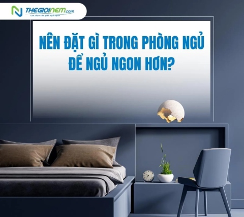 Nên đặt gì trong phòng ngủ để ngủ ngon hơn?