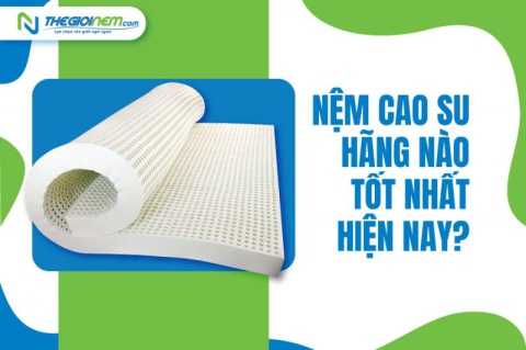 Nên mua nệm cao su nào tốt? Tatana, Liên Á, Vạn Thành, Kim Cương, Đồng Phú