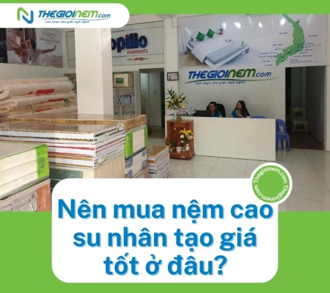 Nên mua nệm cao su nhân tạo giá tốt ở đâu?