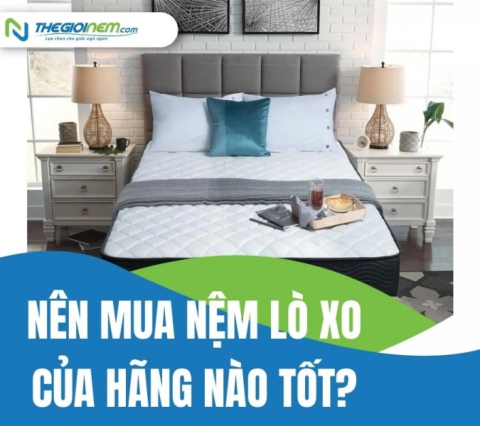 Nên Mua Nệm Lò Xo Của Hãng Nào Tốt? | Thegioinem.com