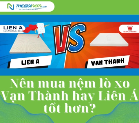 Nên mua nệm lò xo Vạn Thành hay Liên Á tốt hơn?