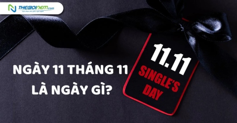 ngay-11-thang-11-la-ngay-gi