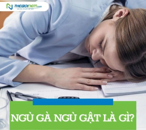 Ngủ gà ngủ gật là gì? 