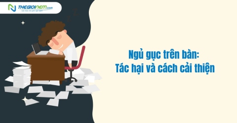 Ngủ gục trên bàn: Tác hại và cách cải thiện