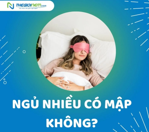 Ngủ nhiều có mập không? - Thế Giới Nệm