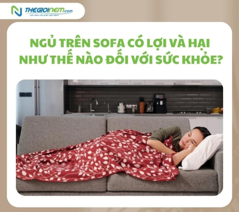 Ngủ trên sofa có lợi và hại như thế nào đối với sức khỏe?