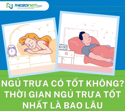 Ngủ trưa có tốt không? Thời gian ngủ trưa tốt nhất là bao lâu