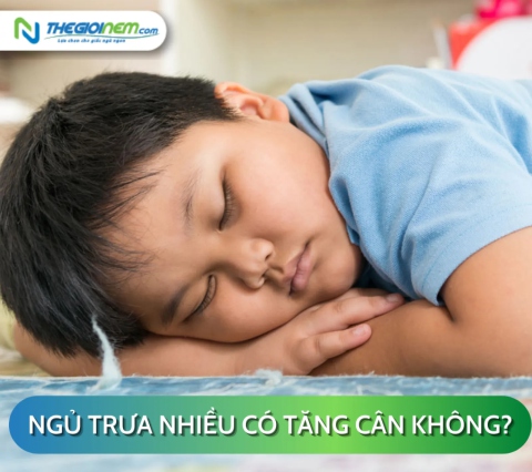 Ngủ trưa nhiều có tăng cân không? | Thegioinem.com