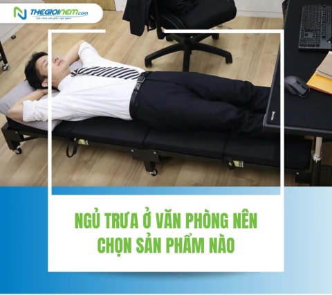 Ngủ trưa ở văn phòng nên chọn sản phẩm nào?