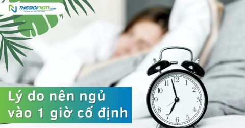 Lý do nên ngủ vào 1 giờ cố định