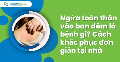 Ngứa toàn thân vào ban đêm là bệnh gì? Cách khắc phục đơn giản tại nhà