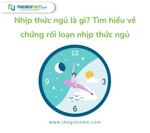 Nhịp thức ngủ là gì? Tìm hiểu về chứng rối loạn nhịp thức ngủ