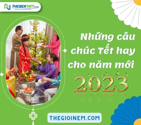 Những câu chúc Tết, lời chúc năm mới 2024 hay nhất