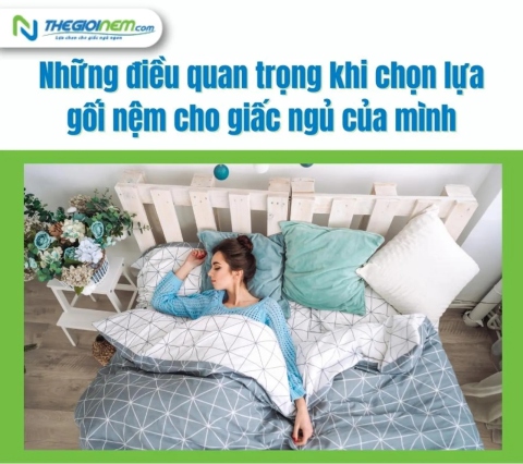 Những Điều Quan Trọng Khi Chọn Lựa Gối Nệm Cho Giấc Ngủ Của Mình