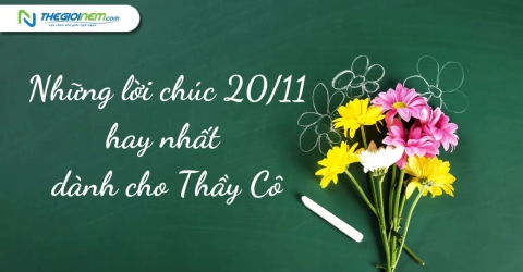 Những lời chúc 20/11 hay nhất dành cho Thầy Cô