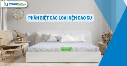 Phân biệt các loại nệm cao su - Thế Giới Nệm