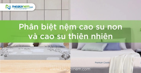 Phân biệt nệm cao su non và cao su thiên nhiên | Thegioinem.com