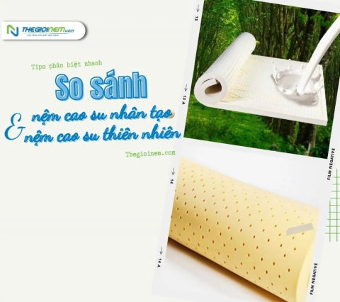 So sánh nệm cao su thiên nhiên và nệm cao su nhân tạo | Thegioinem.com