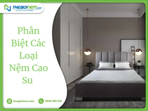 Video phân biệt các dòng nệm cao su trên thị trường hiện nay