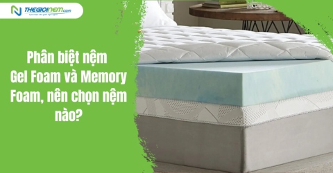 Phân biệt nệm Gel Foam và Memory Foam, nên chọn nệm nào?