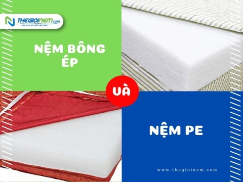 Phân biệt nệm PE và nệm bông ép - loại nào tốt