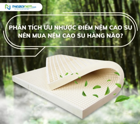 Phân tích ưu nhược điểm nệm cao su | Nên mua nệm cao su hàng nào?