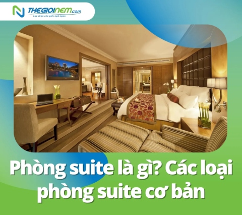 Phòng suite là gì? Các loại phòng suite cơ bản