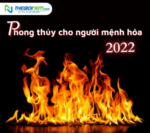 Phong thuỷ cho người mệnh Hoả năm 2024 | Thegioinem.com