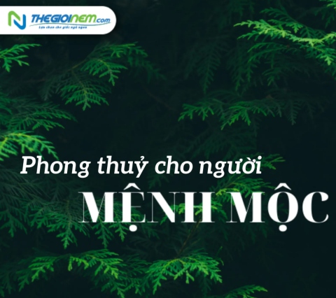 Phong thuỷ cho người mệnh Mộc năm 2024 | Thegioinem.com