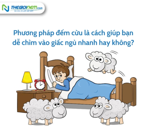 Phương pháp đếm cừu là cách giúp bạn dễ chìm vào giấc ngủ nhanh hay không?