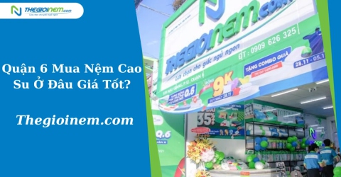 Quận 6 Mua Nệm Cao Su Ở Đâu Giá Tốt? | Thegioinem.com