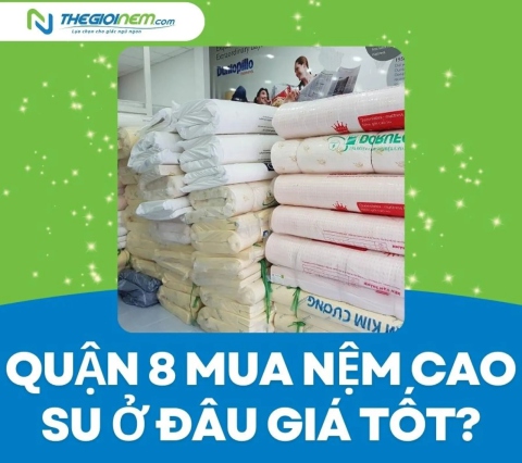 Quận 8 mua nệm cao su ở đâu giá tốt?