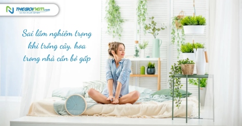 Sai lầm nghiêm trọng khi trồng cây, hoa trong nhà cần bỏ gấp