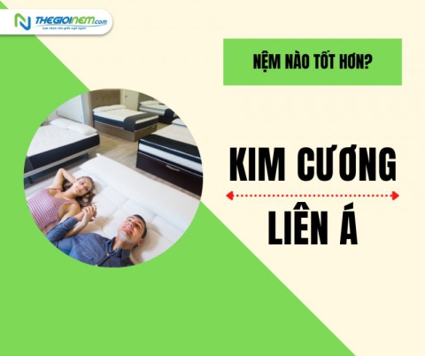 So Sánh Giữa Nệm Liên Á Và Nệm Kim Cương | Thegioinem.com