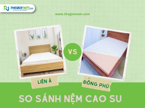 So Sánh Nệm Cao Su Liên Á Và Cao Su Đồng Phú Loại Nào Tốt?