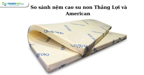 So sánh nệm cao su non Thắng Lợi và American đầy đủ, chi tiết