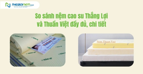 So sánh nệm cao su Thắng Lợi và Thuần Việt đầy đủ, chi tiết