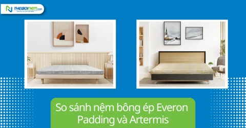 So Sánh Nệm Bông Ép Everon Padding Và Artemis