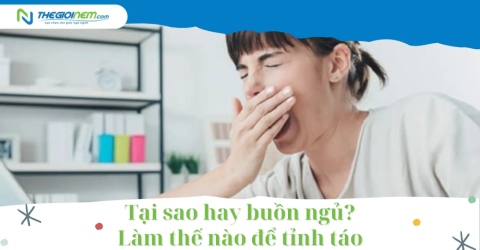 Tại sao hay buồn ngủ? Làm thế nào để tỉnh táo 