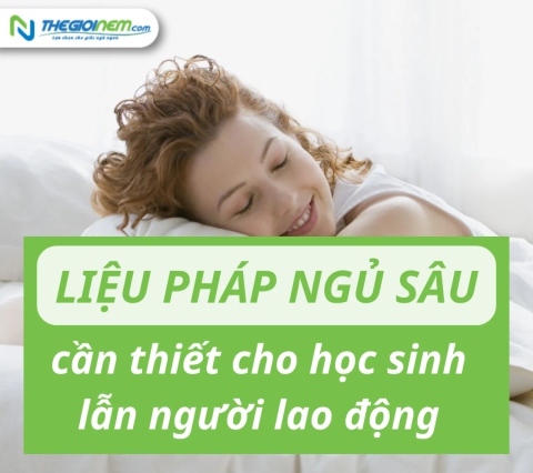 Tại sao liệu pháp ngủ sâu cần thiết cho học sinh lẫn người lao động?