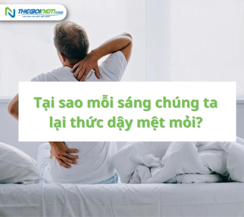 Tại sao mỗi sáng chúng ta lại thức dậy mệt mỏi? Liệu chúng ta đã ngủ đúng cách hay không?