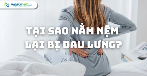 Tại sao nằm nệm lại bị đau lưng? 