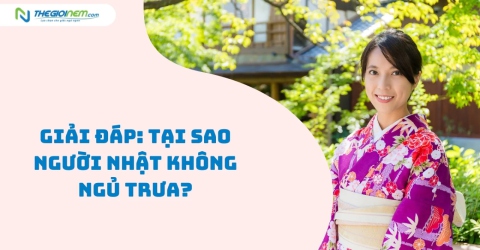 Giải đáp: Tại sao người Nhật không ngủ trưa?