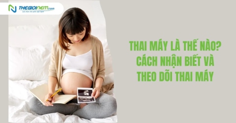 Thai máy là thế nào? Cách nhận biết và theo dõi thai máy