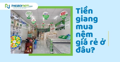 Tiền Giang Mua Nệm Giá Rẻ Ở Đâu?