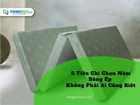 5 tiêu chí chọn nệm bông ép không phải ai cũng biết