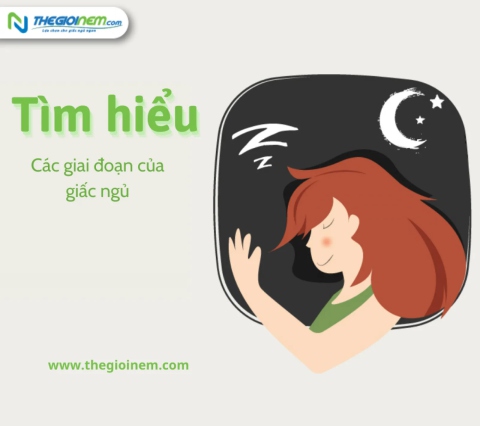 Tìm hiều về các giai đoạn của giấc ngủ | Thegioinem.com