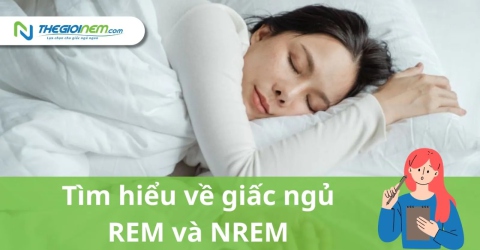 Tìm hiểu về giấc ngủ REM và NREM, vai trò của giấc ngủ REM và NREM